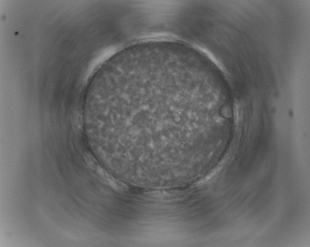 X0000071331405200607141854