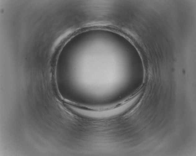 X0000071331406200607141854