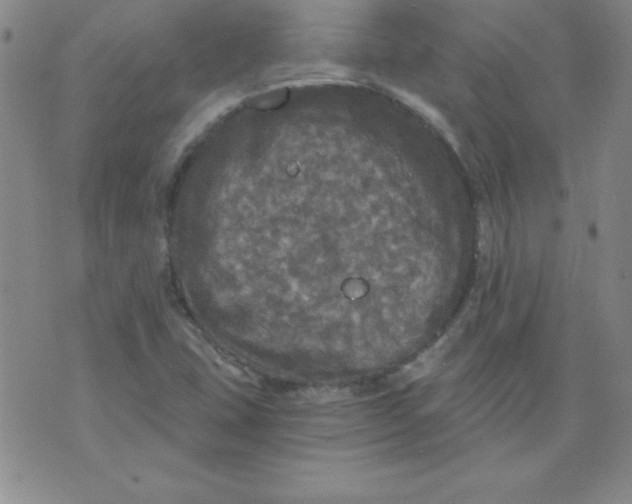 X0000071331407200607141854