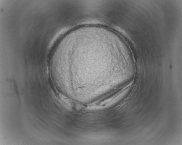 X0000071331408200607141854