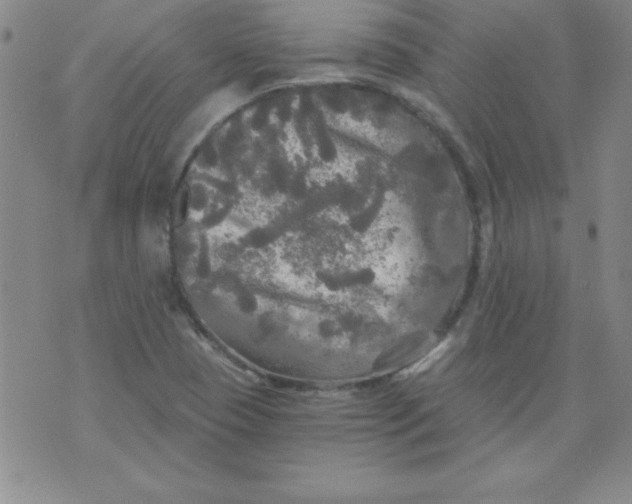 X0000071331409200607141854