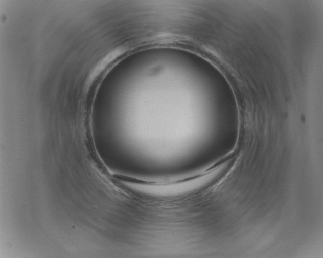 X0000071331410200607141854