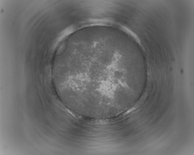 X0000071331411200607141854