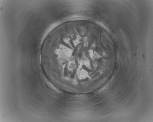 X0000071331413200607141854