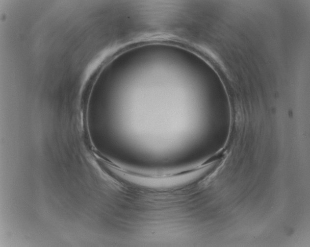 X0000071331414200607141854