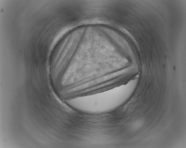 X0000071331416200607141854