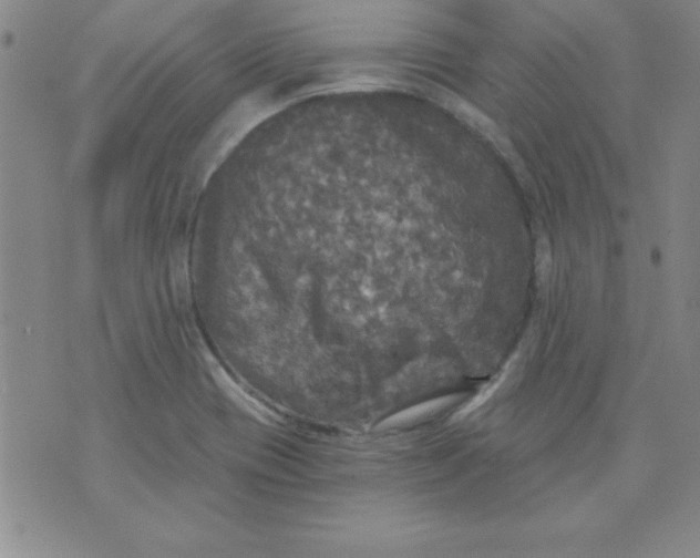 X0000071331417200607141854