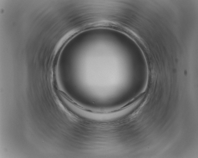 X0000071331418200607141854