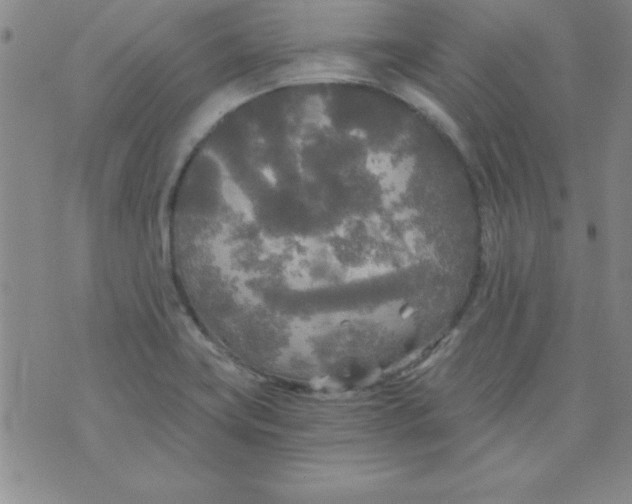 X0000071331419200607141854