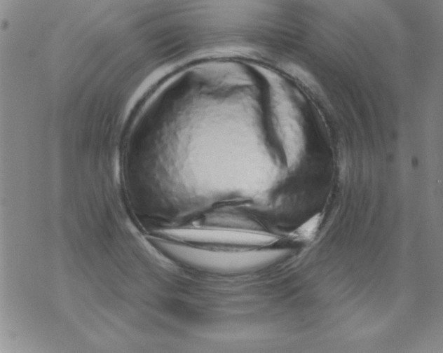 X0000071331420200607141854