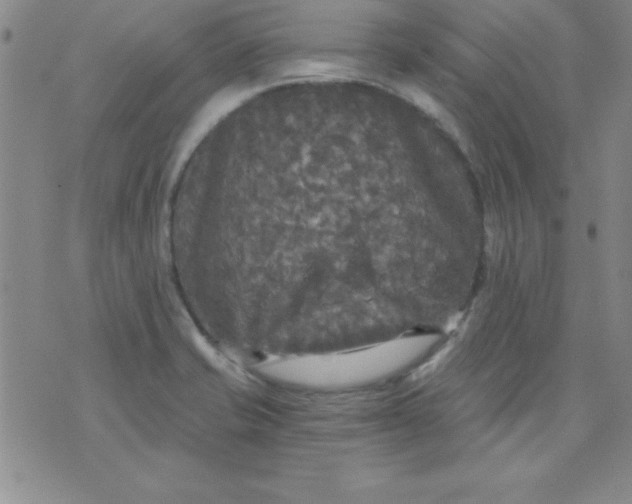 X0000071331421200607141854