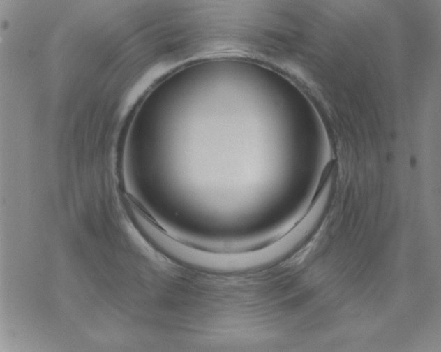 X0000071331422200607141854