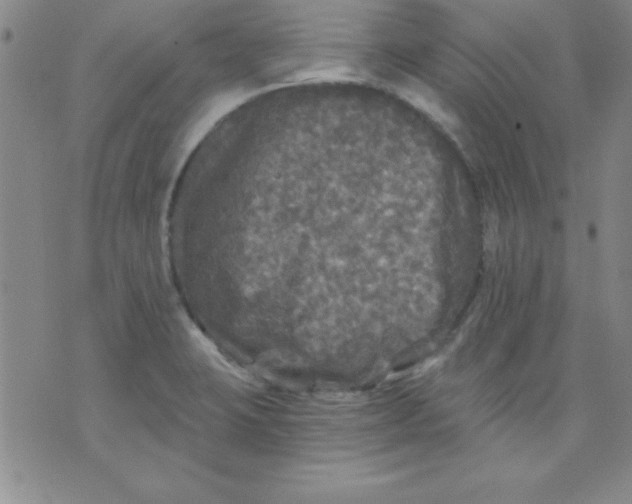 X0000071331423200607141854