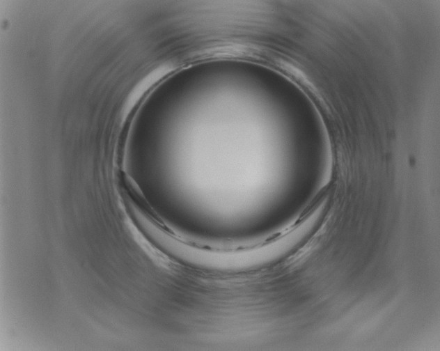 X0000071331426200607141854