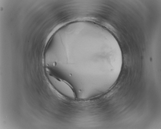 X0000071331428200607141854