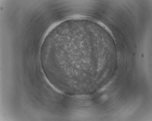 X0000071331429200607141854