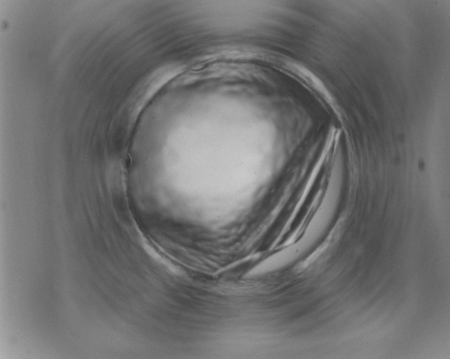 X0000071331433200607141854