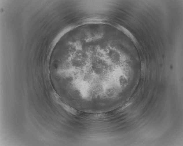 X0000071331435200607141854