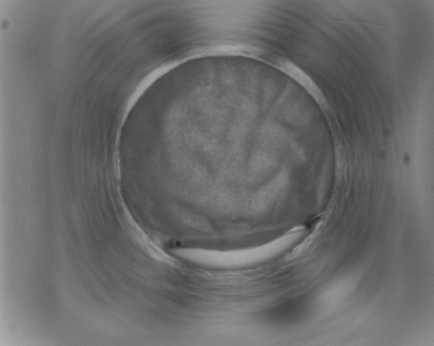 X0000071331436200607141854