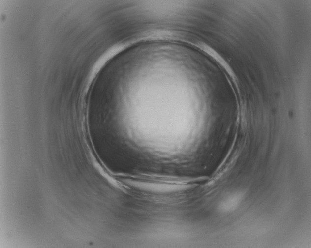 X0000071331437200607141854