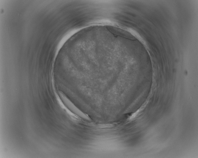 X0000071331440200607141854