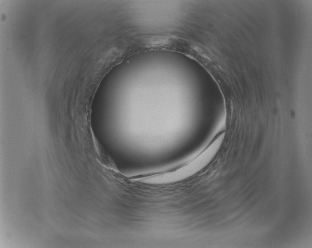 X0000071331441200607141854