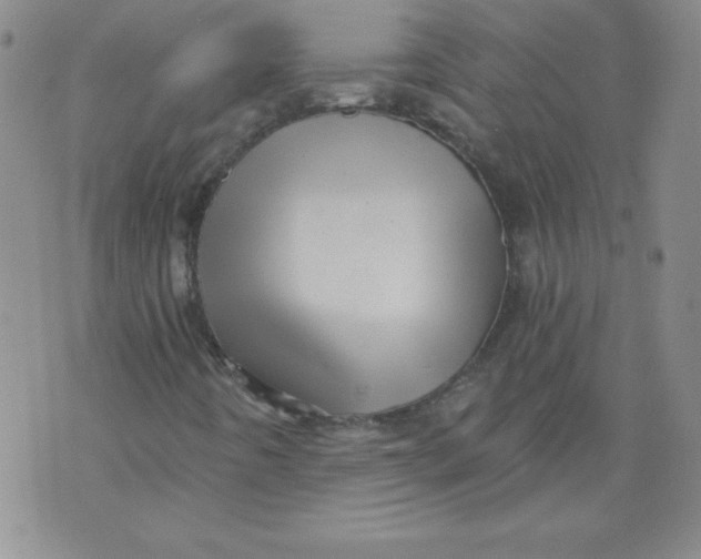 X0000071331442200607141854