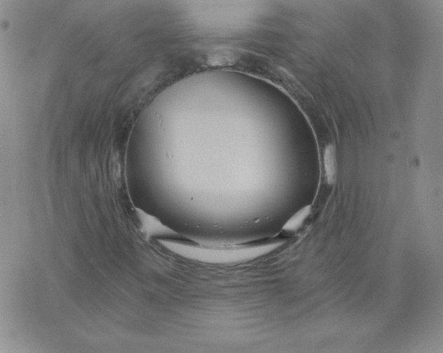 X0000071331443200607141854