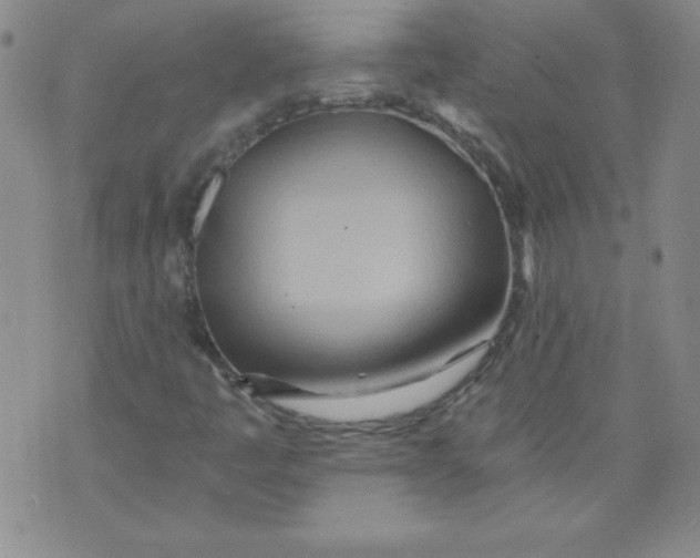 X0000071331445200607141854