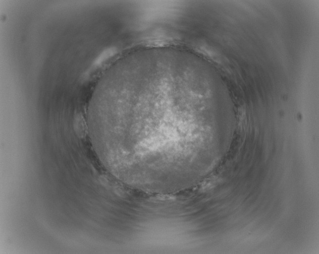 X0000071331446200607141854