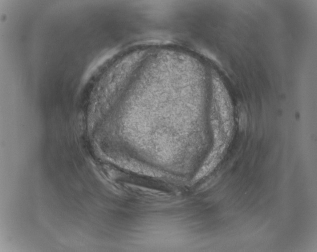 X0000071331448200607141854