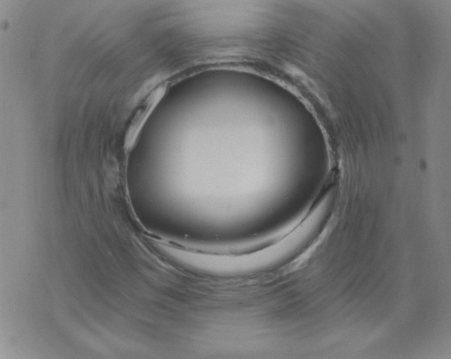 X0000071331449200607141854