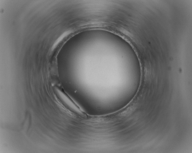 X0000071331450200607141854