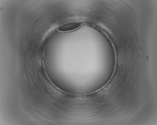 X0000071331451200607141853