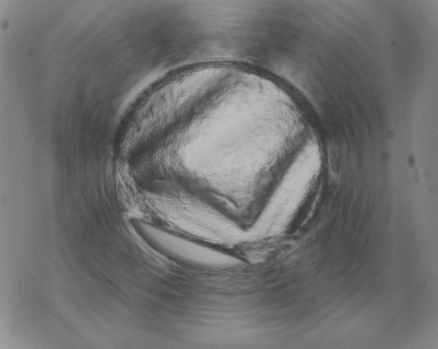 X0000071331452200607141853