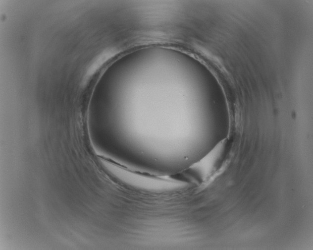 X0000071331453200607141853