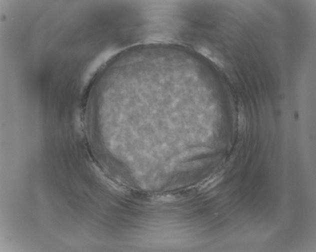 X0000071331454200607141853