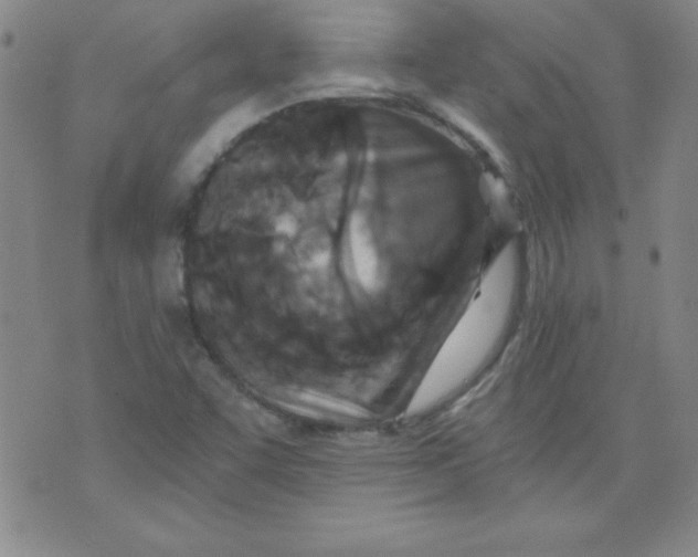 X0000071331455200607141853