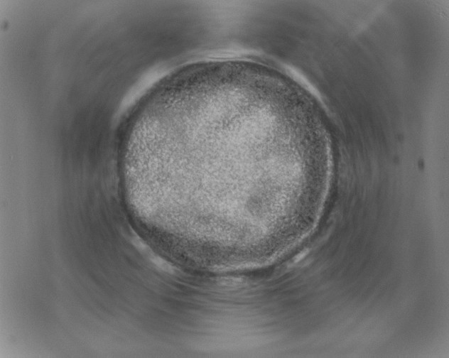 X0000071331456200607141853