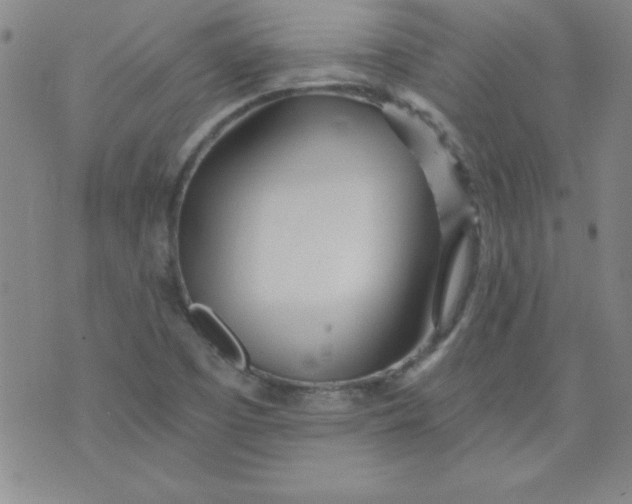 X0000071331457200607141853