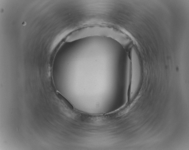 X0000071331461200607141853