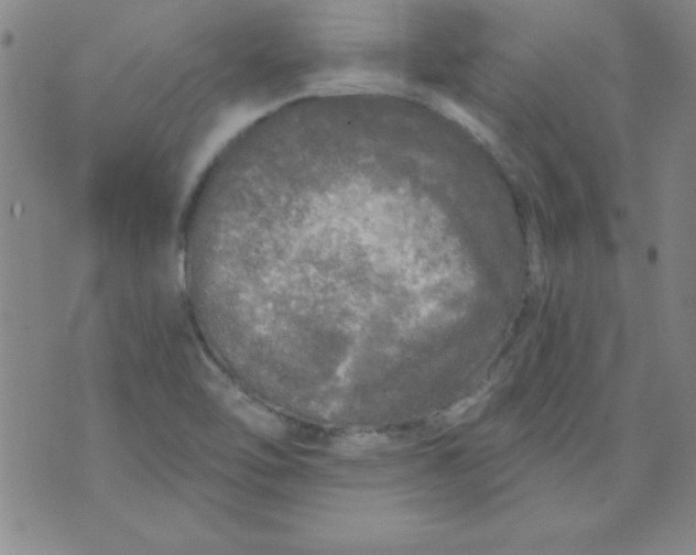 X0000071331462200607141853