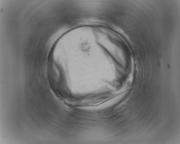 X0000071331463200607141853