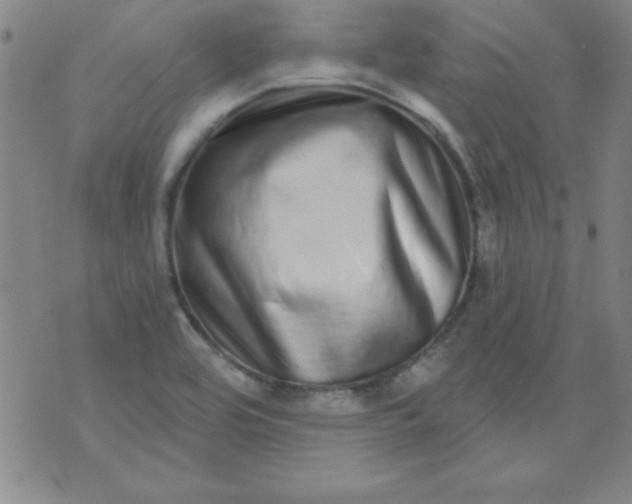 X0000071331464200607141853