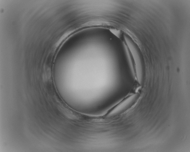 X0000071331465200607141853