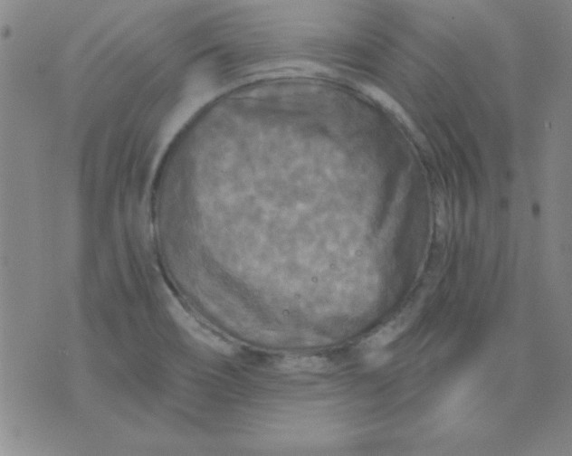 X0000071331466200607141853