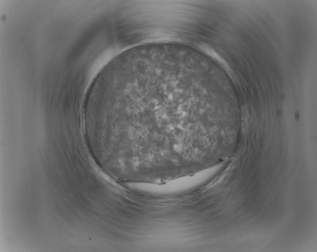 X0000071331467200607141853