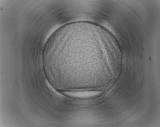 X0000071331468200607141853