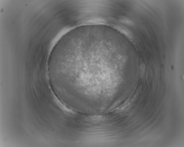 X0000071331470200607141853