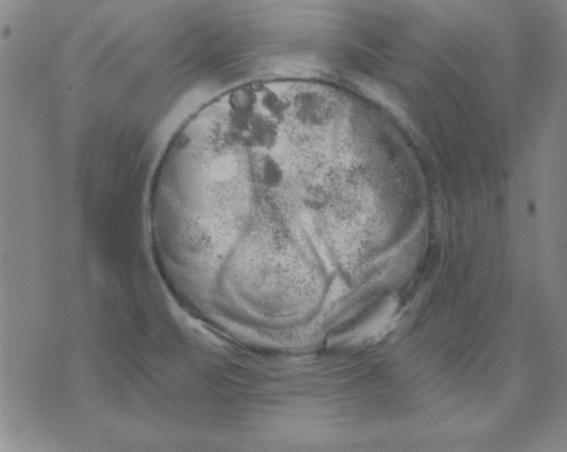 X0000071331471200607141853